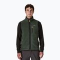 Gilet da uomo Patagonia Retro Pile Fleece old growth green