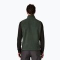 Gilet da uomo Patagonia Retro Pile Fleece old growth green 2