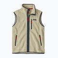 Gilet da uomo Patagonia Retro Pile Fleece pelican w/smolder blue 6