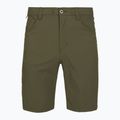 Pantaloncini da trekking da uomo Patagonia Quandary Basin Green
