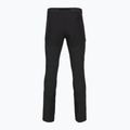 Pantaloni da trekking da uomo Patagonia Terravia Alpine black 2