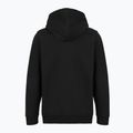 Felpa da uomo Patagonia '95 Oval Logo Uprisal Hoody Black: Kaleido 2