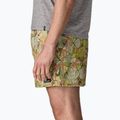 Pantaloncini da uomo Patagonia Baggies 5" shelly shelly/mellow melon 5