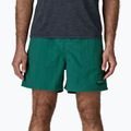 Pantaloncini da uomo Patagonia Baggies 5" 95 oval logo/gem green