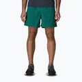Pantaloncini da uomo Patagonia Baggies 5" 95 oval logo/gem green