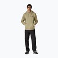 Felpa da uomo Patagonia P-6 Uprisal logo gumtree green 2