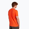 Maglietta da uomo icebreaker Merino 150 Tech Lite Bear Tour fervid 3