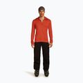 Felpa con cappuccio Icebreaker Merino 260 Quantum IV Zip Uomo agata 2