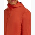 Felpa con cappuccio Icebreaker Merino 260 Quantum IV Zip Uomo agata 8