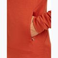 Felpa con cappuccio Icebreaker Merino 260 Quantum IV Zip Uomo agata 9