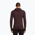 Felpa Icebreaker Merino 200 RealFleece Descender Zip Hoodie java trekking da uomo 3