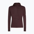 Felpa Icebreaker Merino 200 RealFleece Descender Zip Hoodie java trekking da uomo 10