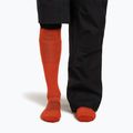 Calze da sci uomo icebreaker Merino Ski+ Ultralight OTC fervid/agate 4