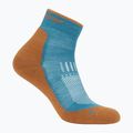 Calze Icebreaker Merino Hike+ Light Mini Uomo topazio/trail