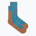 Calzini Icebreaker da uomo Merino Hike+ Medium Crew topaz/trail 2