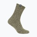 Calze da sci Icebreaker Merino Ski Lodge Crew loden/lichen/chalk