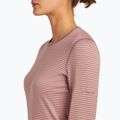 Maglia termica da donna icebreaker 200 Oasis Crewe summit/blush/s 5