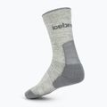Calze da donna icebreaker Merino Hike+ Light Crew 2 pairs blizzar hthr/alloy 2