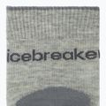 Calze da donna icebreaker Merino Hike+ Light Crew 2 pairs blizzar hthr/alloy 3