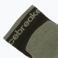 Calzini da uomo Icebreaker Merino Hike+ Light Mini dark loden/lichen 3