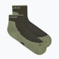 Calzini da uomo Icebreaker Merino Hike+ Light Mini dark loden/lichen 6