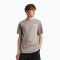 T-shirt da uomo The North Face Evolution Box NSE stone slab
