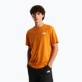 T-shirt da uomo The North Face Evolution Box NSE dust orange