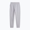 Pantaloni da uomo The North Face Evolution Simple Dome Regular Jogger tnf pale grey h 5