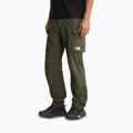 Pantaloni da trekking da uomo The North Face Exploration Cargo taupe green