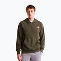 Felpa da uomo The North Face Monte Regular Hoodie Graphic new taupe green