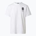 Maglietta da trekking da uomo The North Face Mountain Celebration Regular tnf white