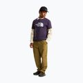 T-shirt da uomo The North Face Evolution Half Dome endless dusk 2
