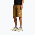 Pantaloncini da trekking da uomo The North Face Exploration Cargo Shorts utility brown