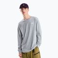 Maglia da trekking a maniche lunghe da uomo The North Face Evolution Simple Dome Regular LS Tee tnf pale grey heather