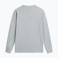 Maglia da trekking a maniche lunghe da uomo The North Face Evolution Simple Dome Regular LS Tee tnf pale grey heather 5