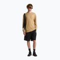 Maglia a maniche lunghe da trekking da uomo The North Face Evolution Simple Dome Regular khaki stone 2
