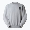 Felpa The North Face Celebration Relaxed Crew Graphic tnf light grey heather