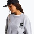 Felpa The North Face Celebration Relaxed Crew Graphic tnf light grey heather 10
