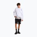 Pantaloncini da trekking da uomo The North Face Box Nse Light Regular Shorts black 2