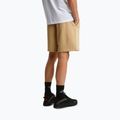 Pantaloncini da trekking da uomo The North Face Box Nse Light Regular Shorts khaki stone 3
