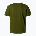 Maglietta da uomo The North Face Mountain Logo Relaxed woodland green 6