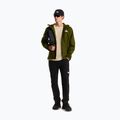 Giacca softshell da uomo The North Face Quest Mono woodland green 2