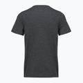 Maglietta da uomo Smartwool Lunar Bear Active SS Graphic Tee charcoal heather 2