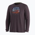Longsleeve da uomo Smartwool First Chair Pursuit Active LS mink heather 3