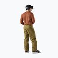 Felpa termica uomo Smartwool Merino 250 Baselayer Crew Boxed burnt sienna 2