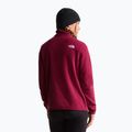 Pile donna The North Face Glacier Fleece 1/4 Zip burgundy crush 3
