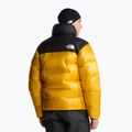 Piumino uomo The North Face Summit Nuptse summit gold/tnf black 3