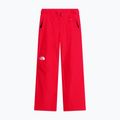 Pantaloni da sci da donna The North Face Descendit Regular elevation red 4