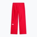 Pantaloni da sci da donna The North Face Descendit Regular elevation red 5