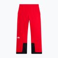 Pantaloni da sci da uomo The North Face Chakal elevation red 5